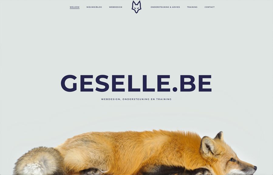 GESELLE.be Work Example