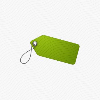Tag Green Icon